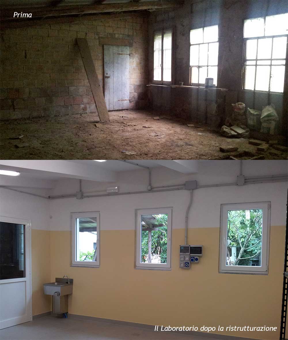 Laboratorio